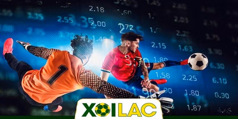 Về chúng tôi xoilac